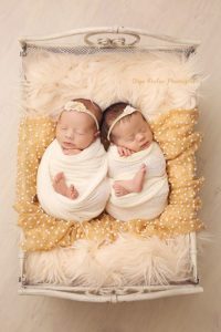 newborn twin girls photo